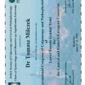 Powiększ obraz: certificate 4