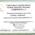 Powiększ obraz: certificate 8