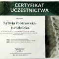 Powiększ obraz: certificate 13