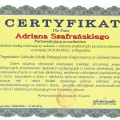 Powiększ obraz: certificate 7