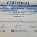 Powiększ obraz: certificate 7
