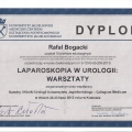 Powiększ obraz: certificate 10
