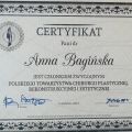 Powiększ obraz: certificate 3