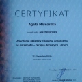 Powiększ obraz: certificate 3