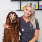 lek. wet. Dorota Morawska