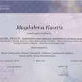 Powiększ obraz: certificate 5