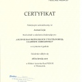 Powiększ obraz: certificate 11