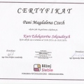 Powiększ obraz: certificate 1