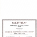 Powiększ obraz: certificate 26