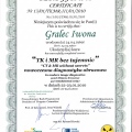 Powiększ obraz: certificate 5