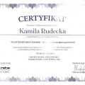 Powiększ obraz: certificate 17