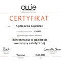 Powiększ obraz: certificate 7