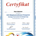 Powiększ obraz: certificate 63