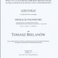 Powiększ obraz: certificate 6