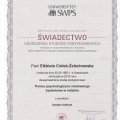 Powiększ obraz: certificate 5