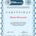 Powiększ obraz: certificate 11