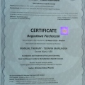 Powiększ obraz: certificate 16