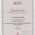 Powiększ obraz: certificate 3