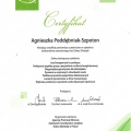 Powiększ obraz: certificate 4