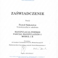 Powiększ obraz: certificate 6