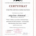 Powiększ obraz: certificate 3