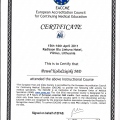 Powiększ obraz: certificate 19
