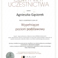 Powiększ obraz: certificate 6