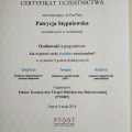 Powiększ obraz: certificate 9