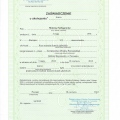 Powiększ obraz: certificate 12
