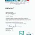 Powiększ obraz: certificate 12