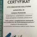 Powiększ obraz: certificate 4
