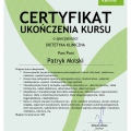 Powiększ obraz: certificate 26