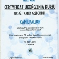 Powiększ obraz: certificate 10
