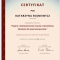 Powiększ obraz: certificate 9