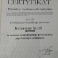 Powiększ obraz: certificate 1