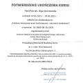 Powiększ obraz: certificate 13