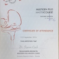 Powiększ obraz: certificate 3
