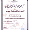 Powiększ obraz: certificate 1