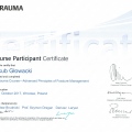 Powiększ obraz: certificate 11