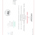 Powiększ obraz: certificate 1