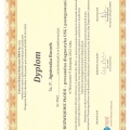 Powiększ obraz: certificate 28