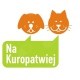 Grażyna Stempin