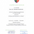 Powiększ obraz: certificate 17