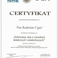 Powiększ obraz: certificate 10