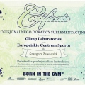 Powiększ obraz: certificate 16