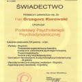 Powiększ obraz: certificate 4