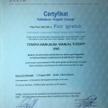 Powiększ obraz: certificate 11