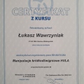 Powiększ obraz: certificate 7