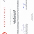 Powiększ obraz: certificate 4