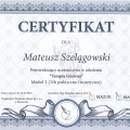 Powiększ obraz: certificate 21